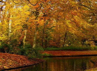 autum-in-parks-1-1367948.jpg